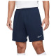 Nike Ανδρικό σορτς Dri-FIT Academy